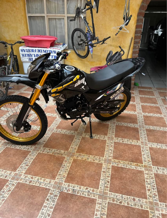 Italika DM 300 Año 2024