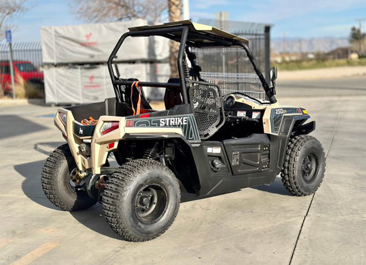 Hisun Strike 250 Año 2023