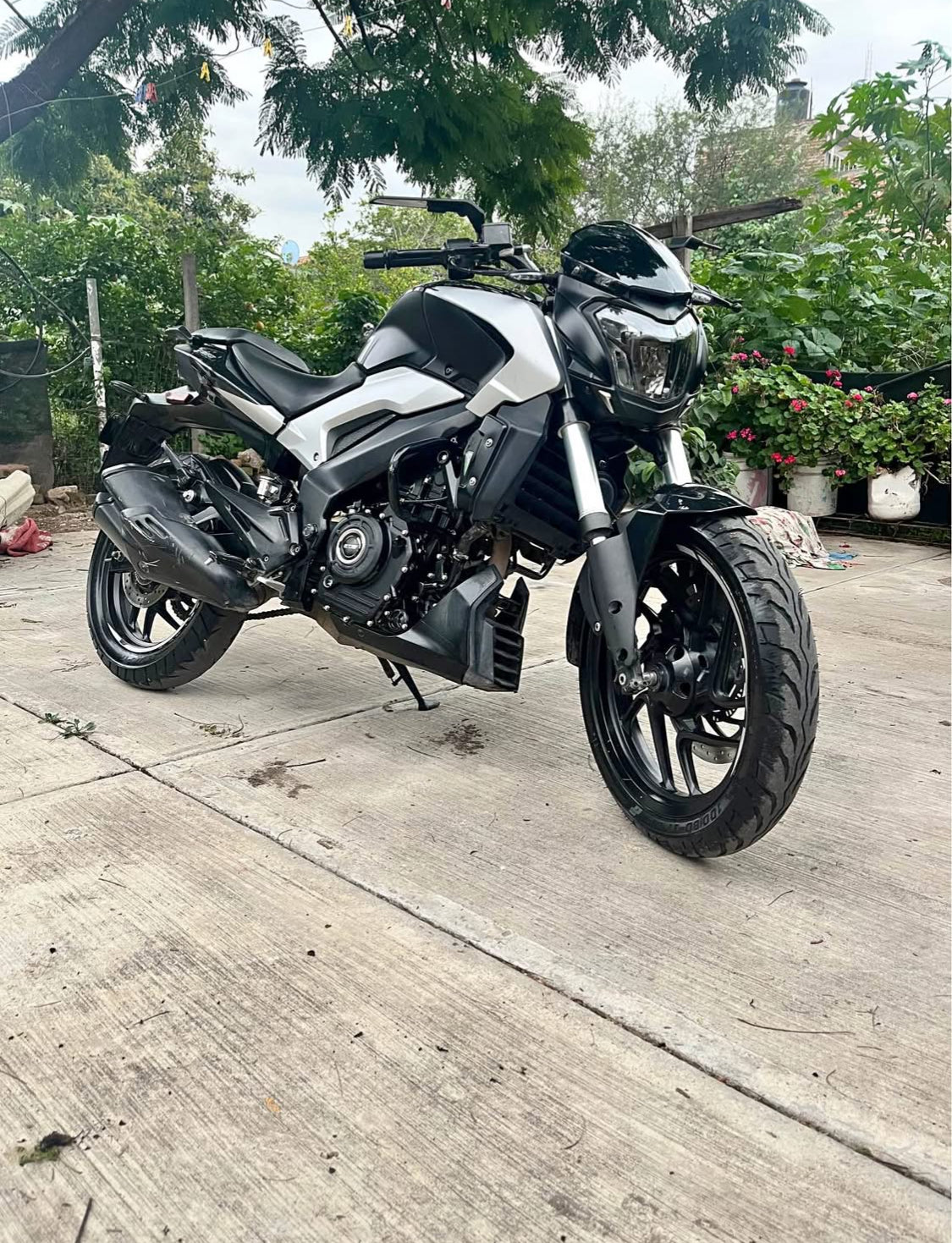 Bajaj Dominar 250 Año 2022