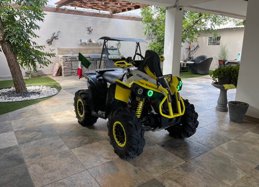 Can Am Renegade 570 Año 2019
