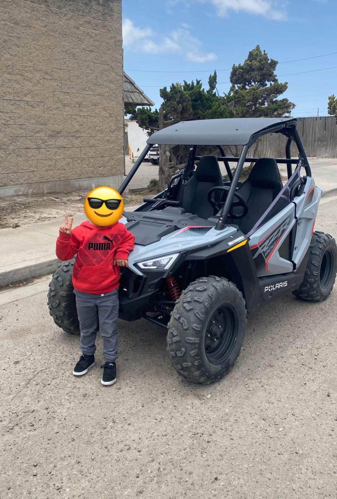 Polaris RZR 200