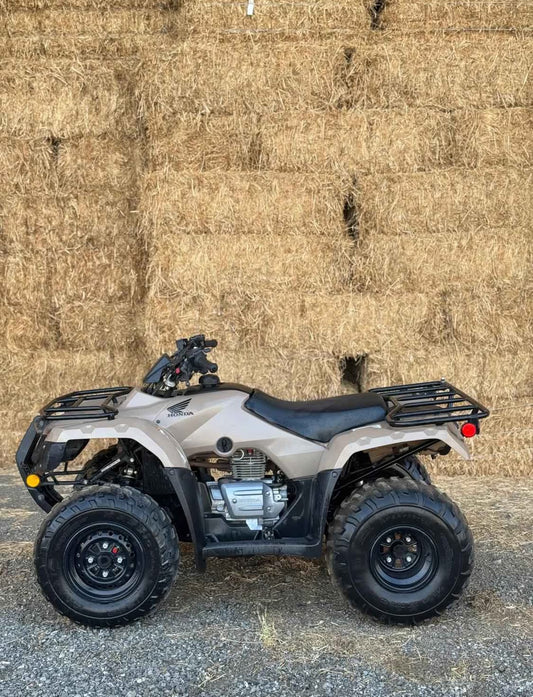 Honda Fourtrax Rincón Año 2021