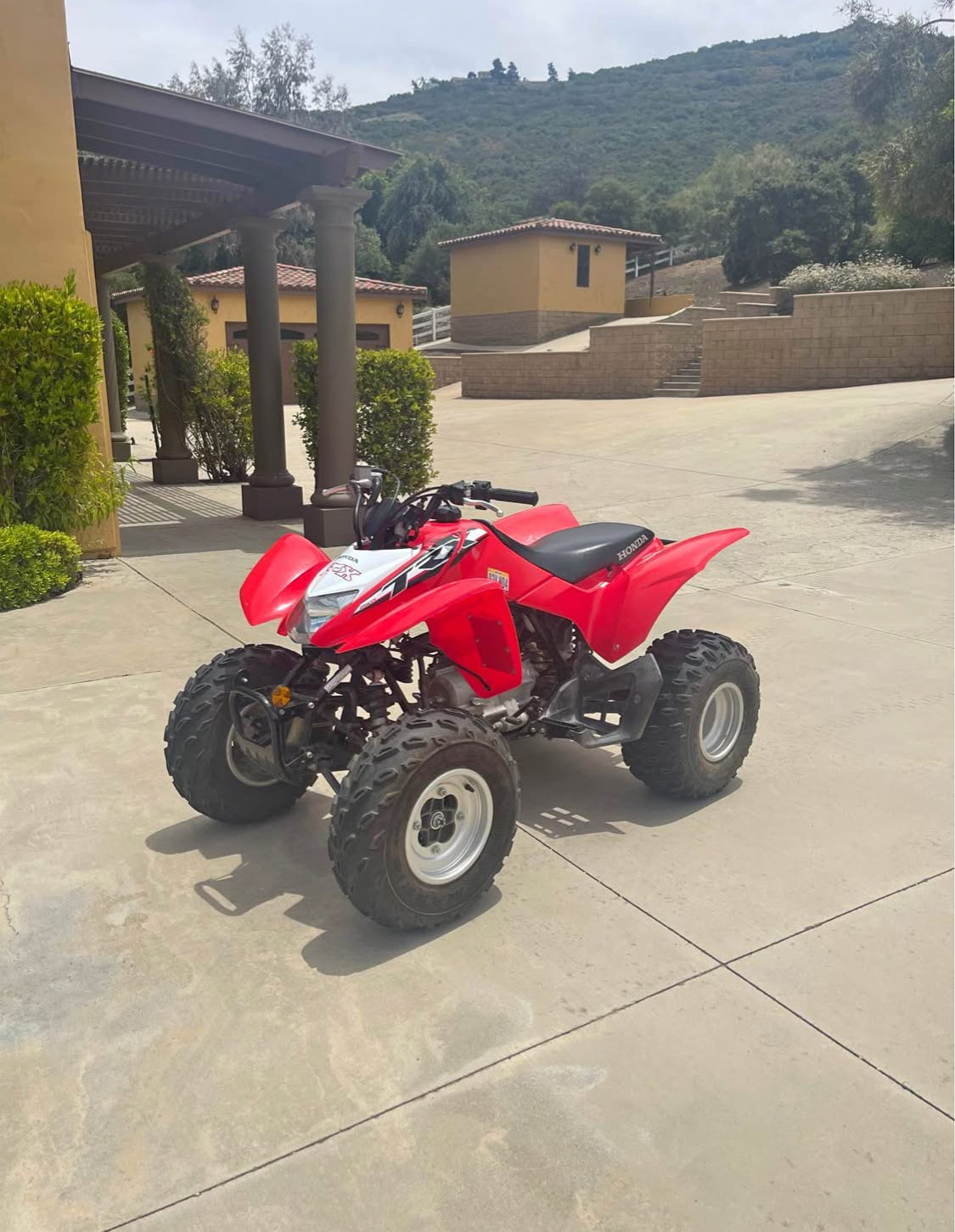 Honda TRX 250 Año 2019