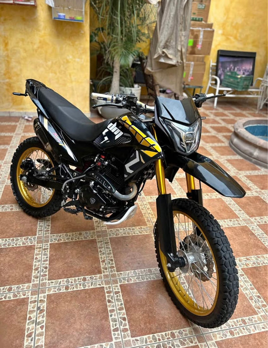 Italika  DM 300 Año 2024