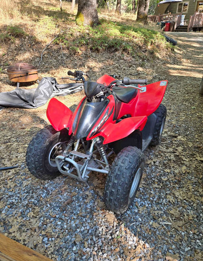Honda  TRX 90  Año 2006