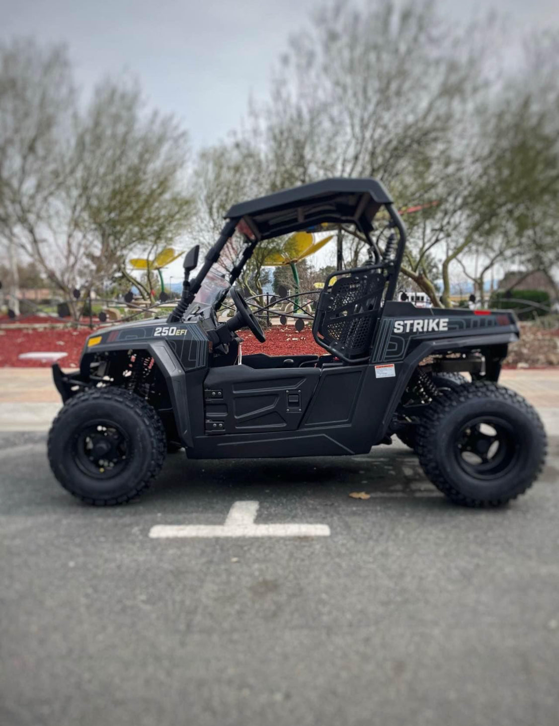 Hisun  250 cc UTV  Año 2022