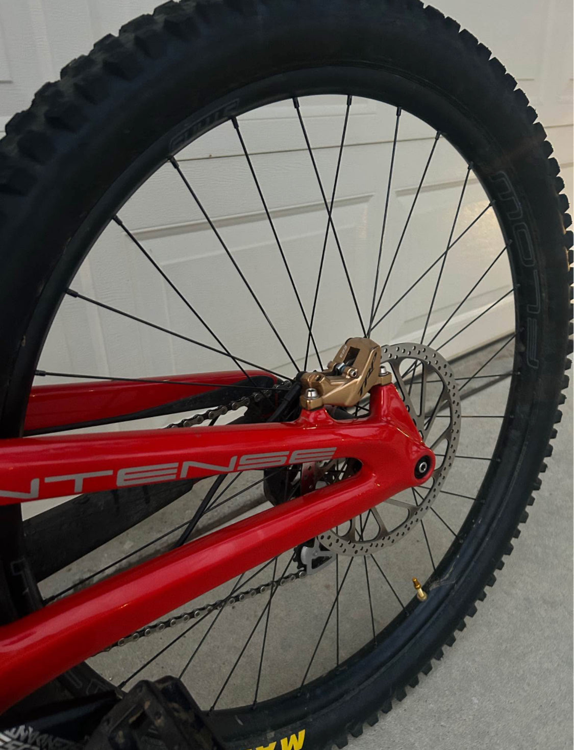 Intense  M29  Año 2022