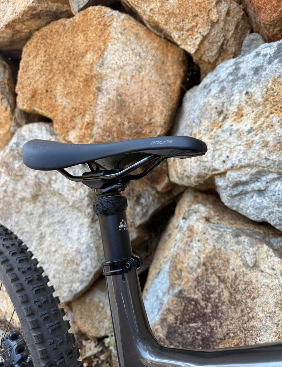 Stumpjumper S5 expert  R 29 Año 2021