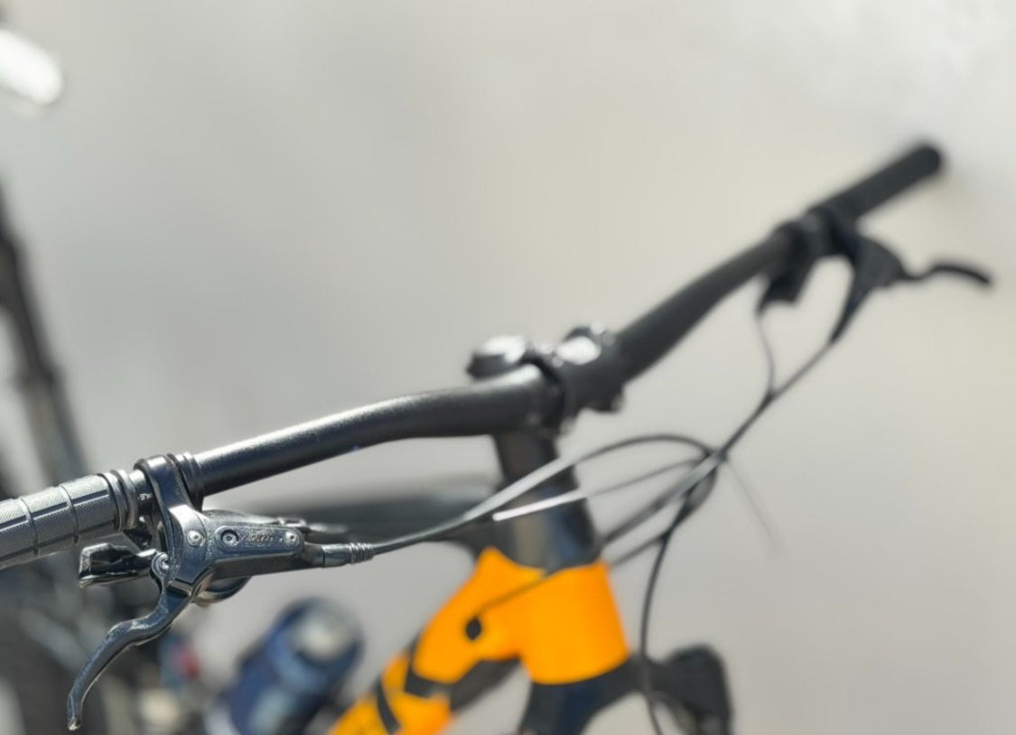 Trek fuel  EX 5  R 29 Año 2021