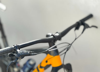 Trek fuel  EX 5  R 29 Año 2021