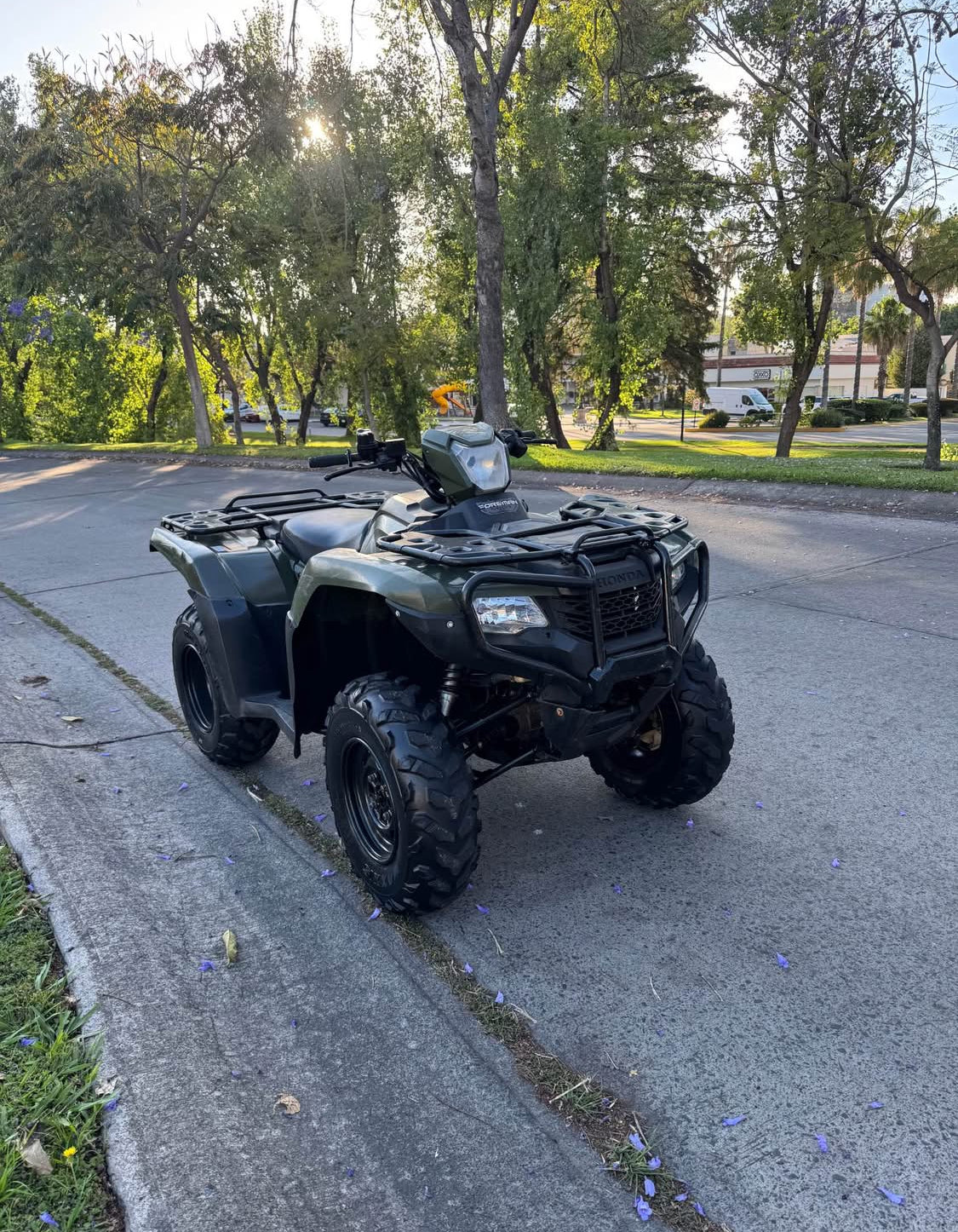 Honda  Foreman 520cc Año 2021