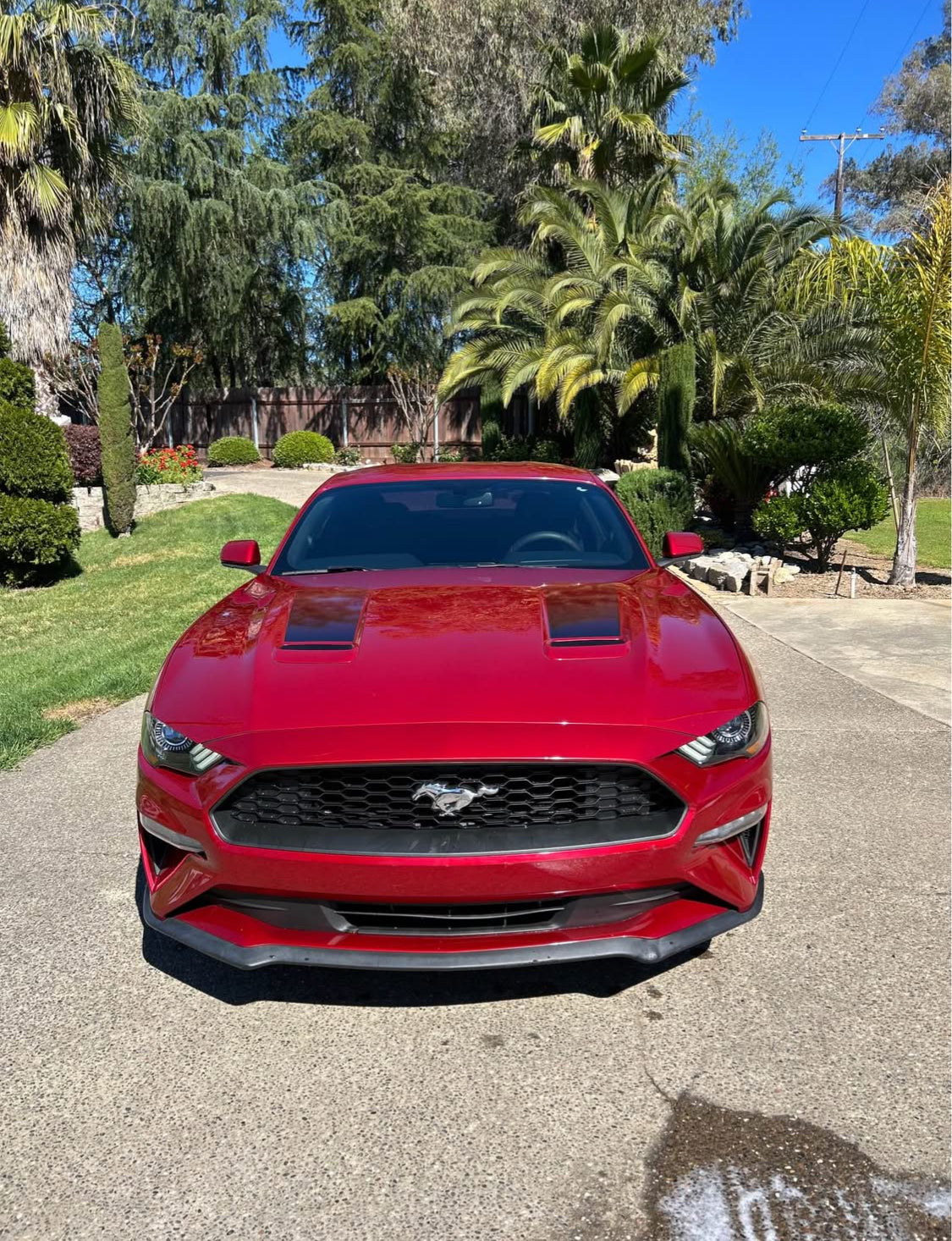 Ford Mustang  EcoBoost Coupe 2D Año 2020