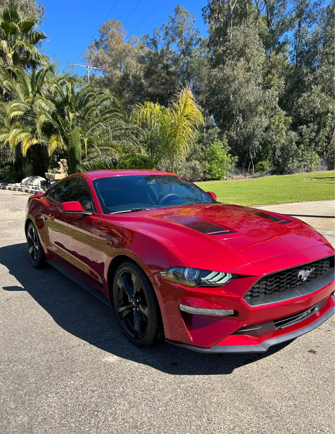 Ford Mustang  EcoBoost Coupe 2D Año 2020