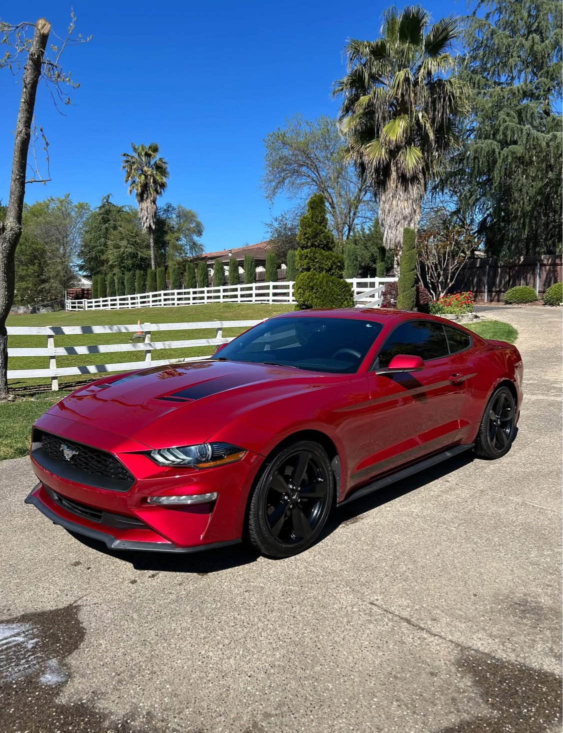 Ford Mustang  EcoBoost Coupe 2D Año 2020