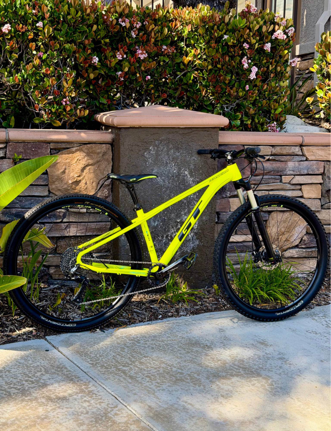 GT  Zaskar Elite  R 29