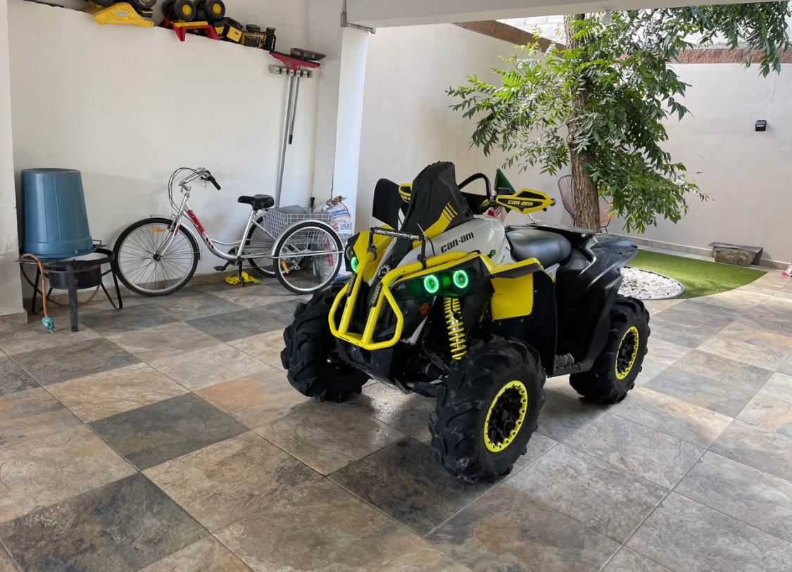 Can Am  Renegade 570  Año 2019
