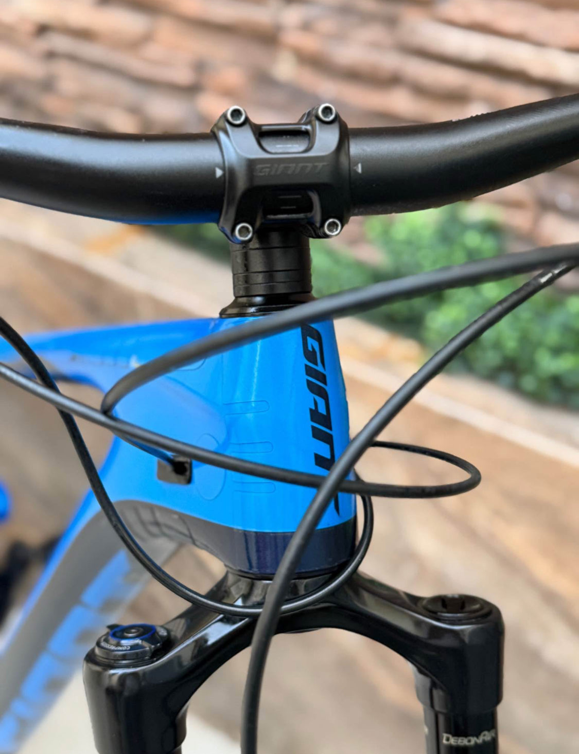 Giant Reign  Pro  2 R 29  Año 2021