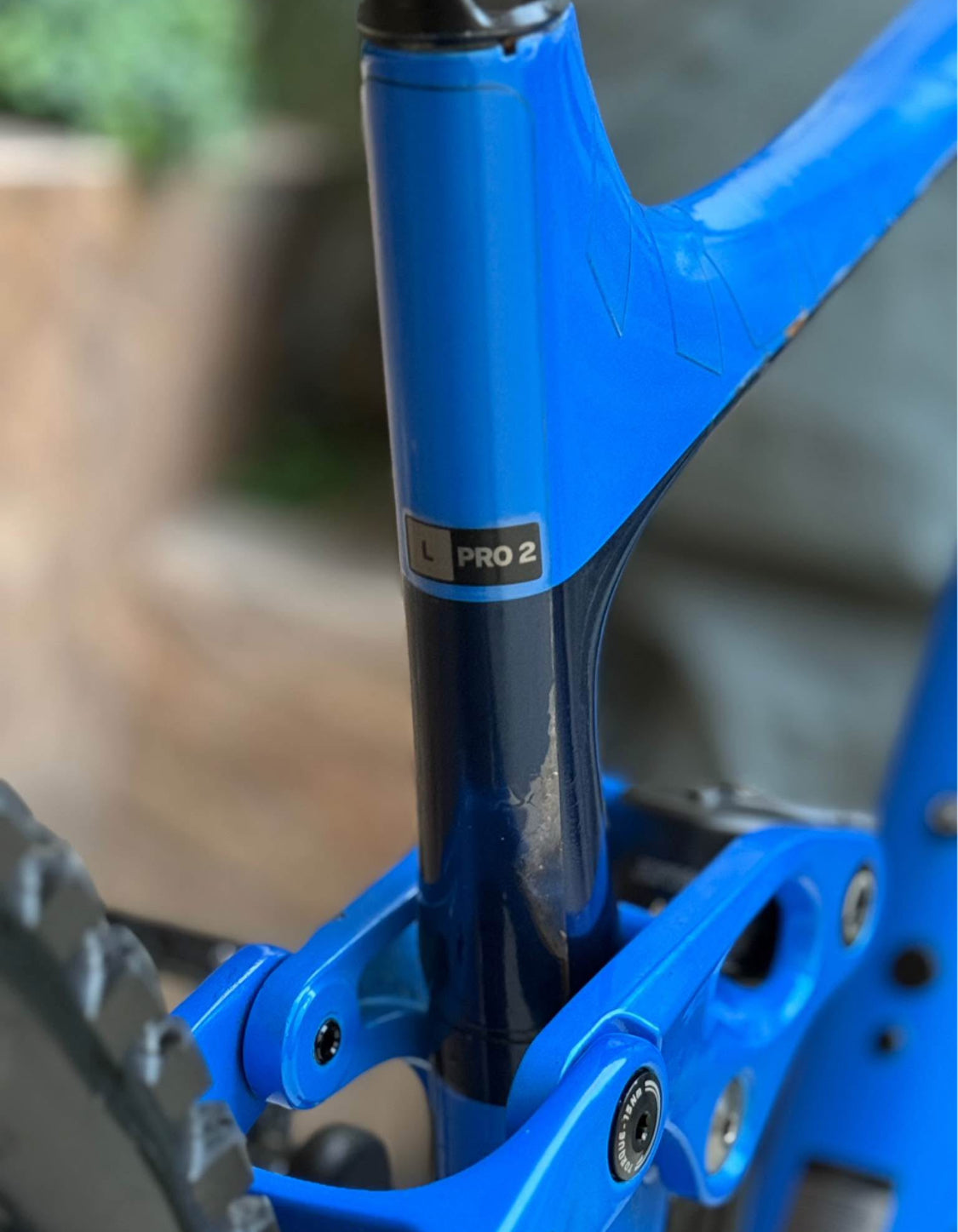 Giant Reign  Pro  2 R 29  Año 2021