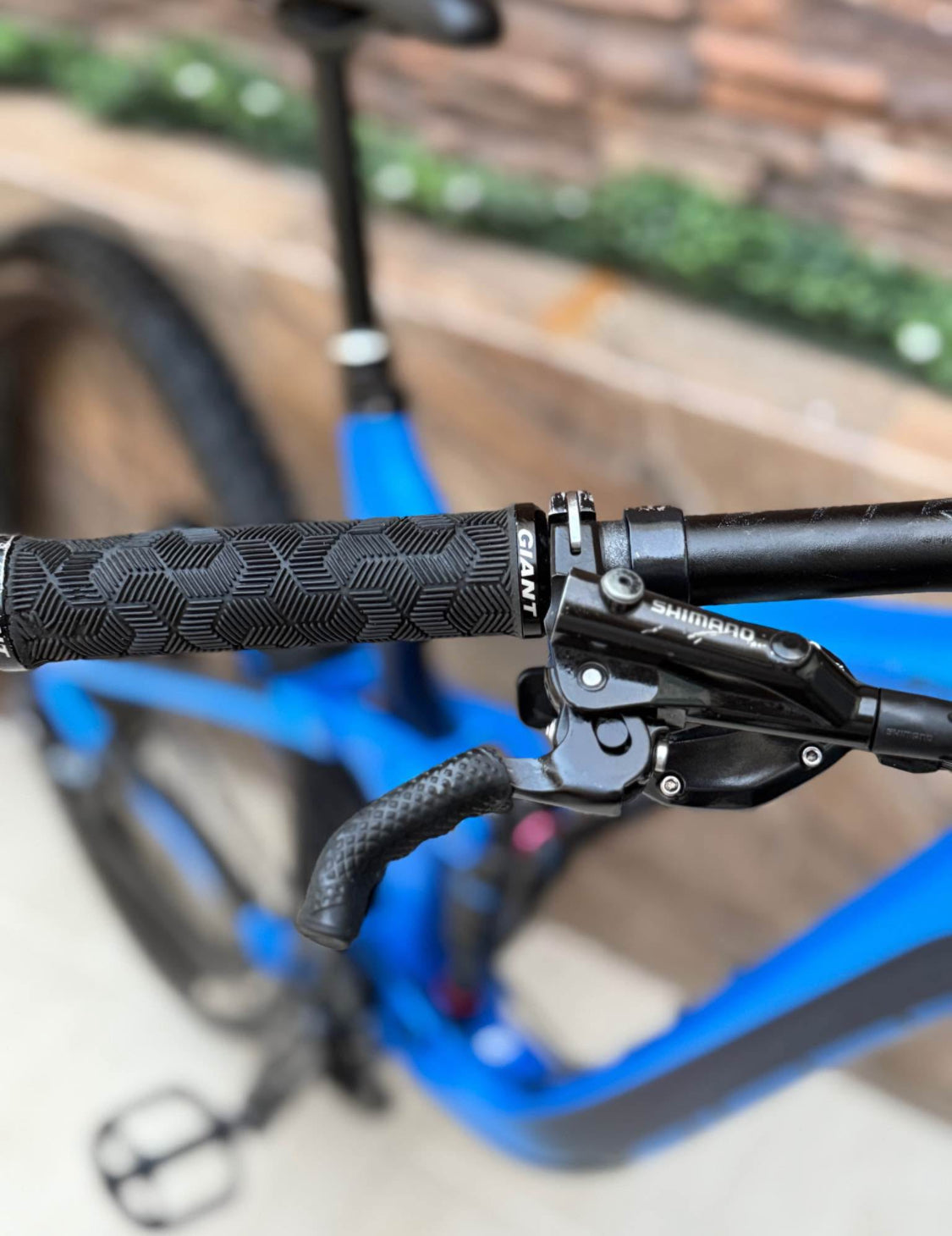 Giant Reign  Pro  2 R 29  Año 2021