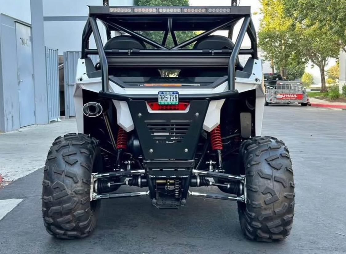 RZR  200 Custom  cages