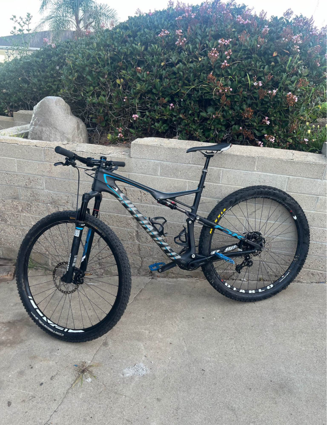 Specialized  Epic Carbon  R 29