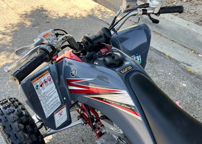 Yamaha  Raptor  250R  Año 2008