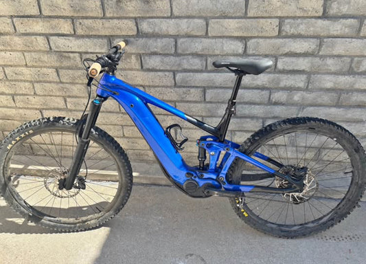 Gian EMTB  R 29  Año 2021