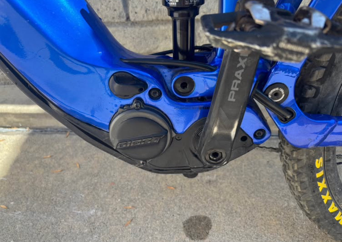 Gian EMTB  R 29  Año 2021