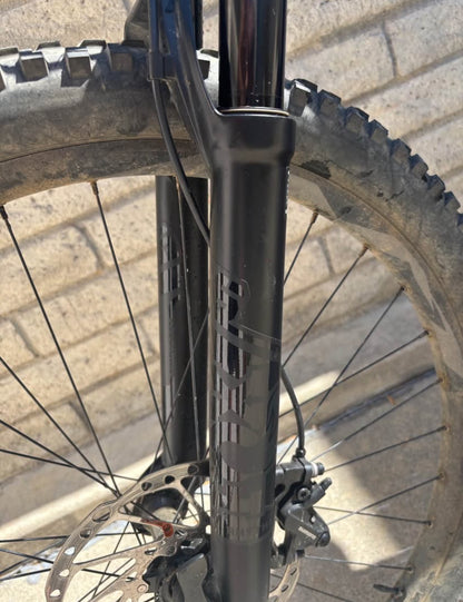 Gian EMTB  R 29  Año 2021