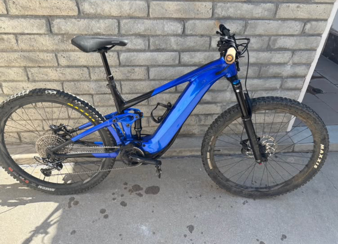 Gian EMTB  R 29  Año 2021