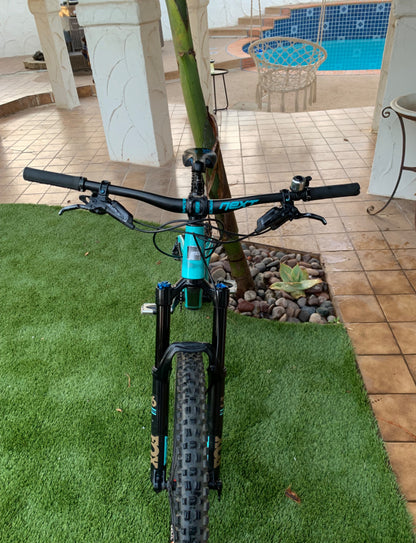 Santa Cruz Bronson