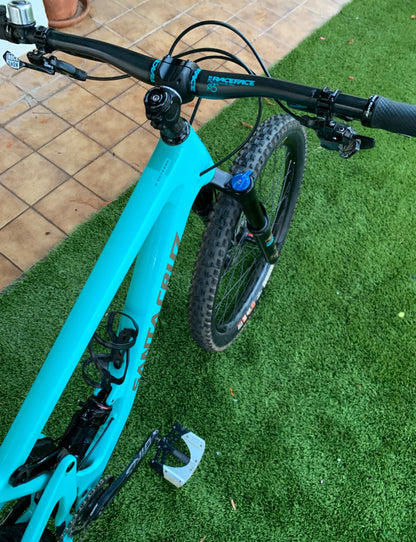 Santa Cruz Bronson