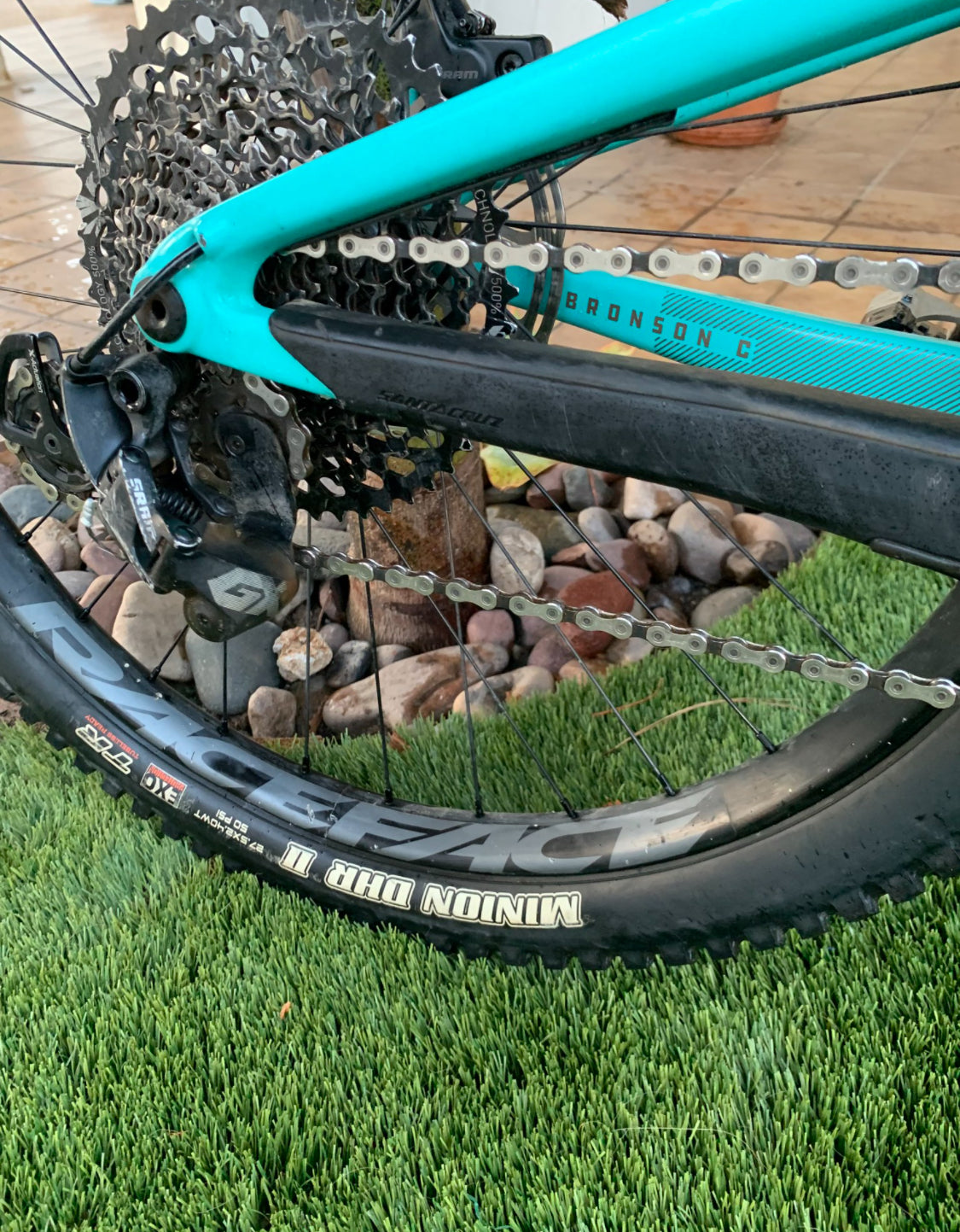Santa Cruz Bronson