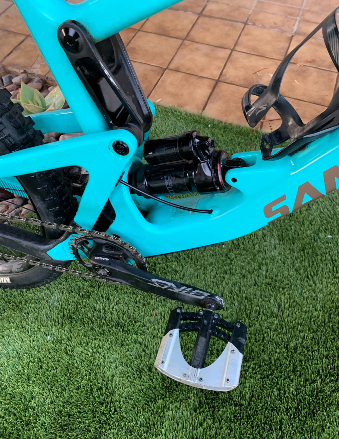 Santa Cruz Bronson