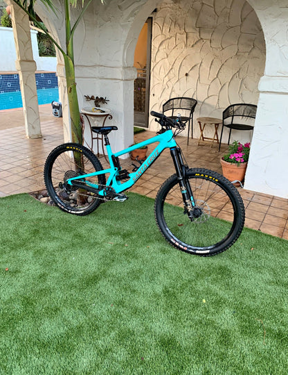 Santa Cruz Bronson