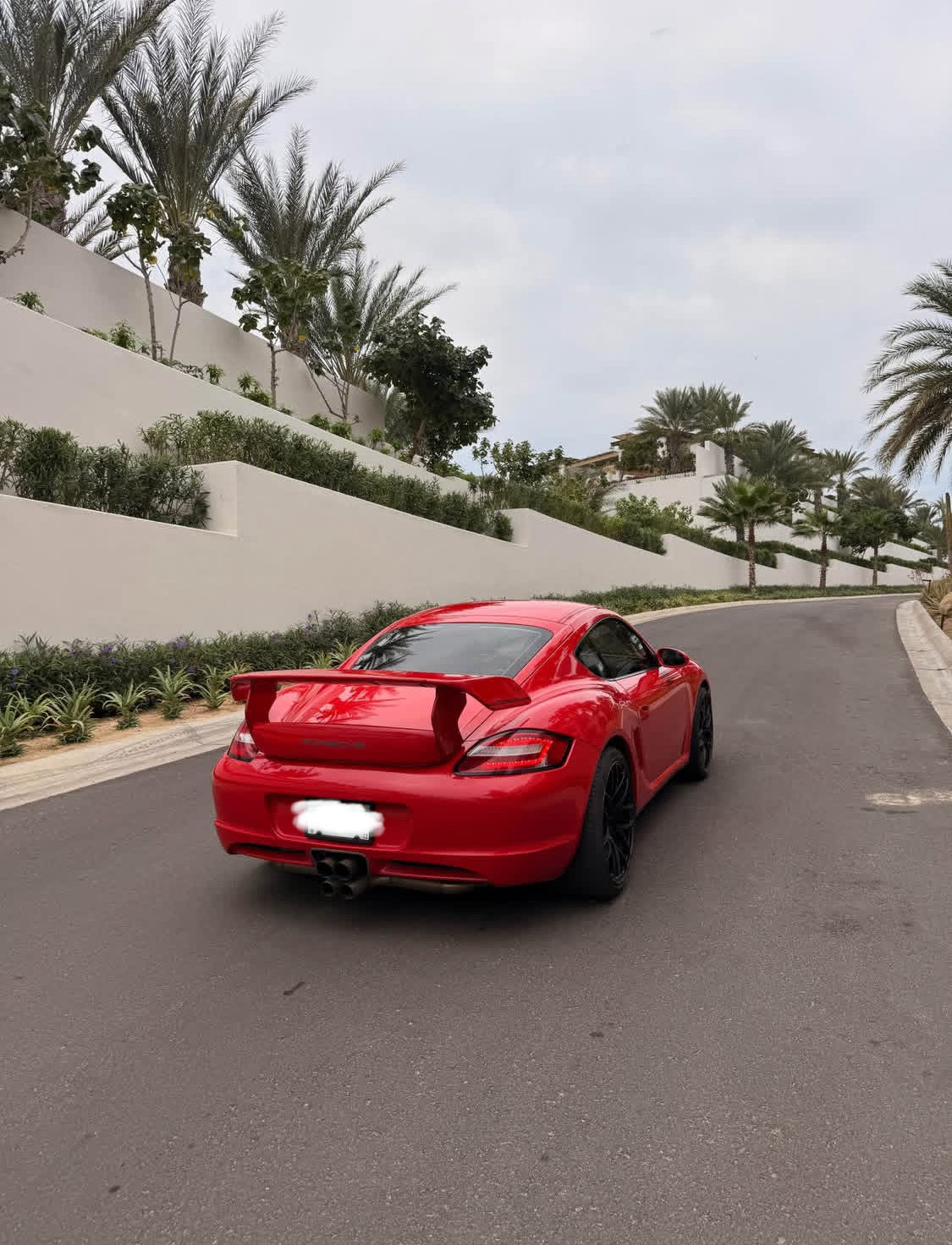 Porsche  Cayman  Año 2007