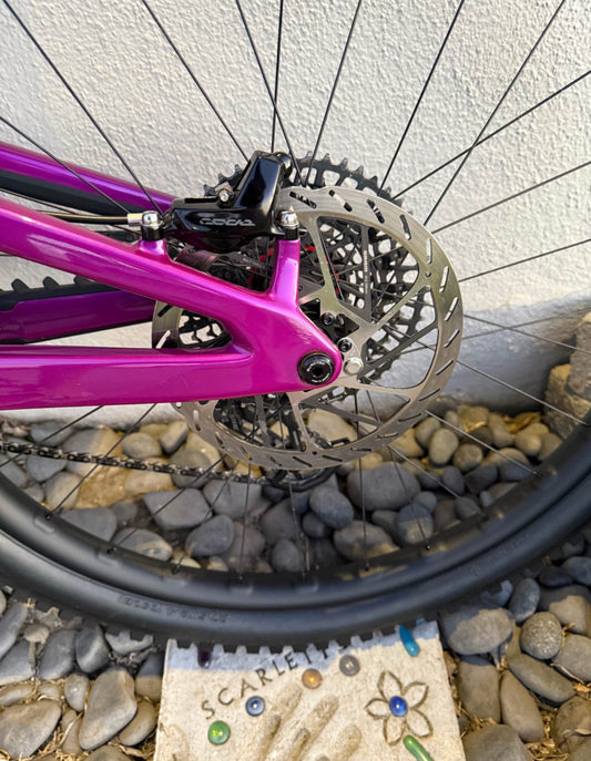 Santa Cruz  Heckler xx  Año 2024