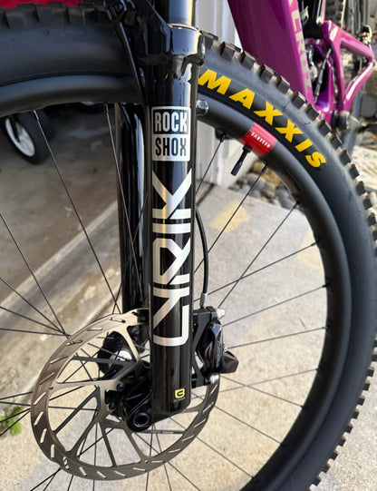 Santa Cruz  Heckler xx  Año 2024