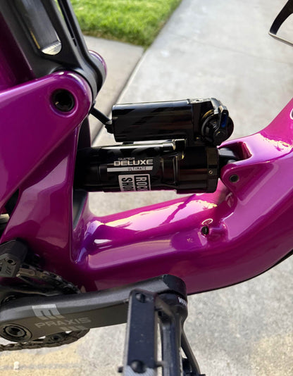 Santa Cruz  Heckler xx  Año 2024